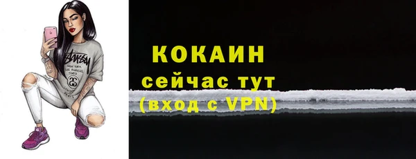 прущие грибы Бугульма