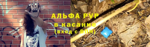 прущие грибы Бугульма