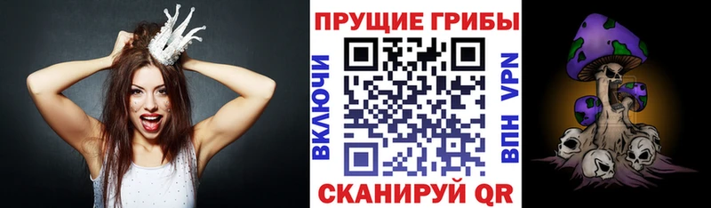 Псилоцибиновые грибы MAGIC MUSHROOMS  где найти   Медынь 